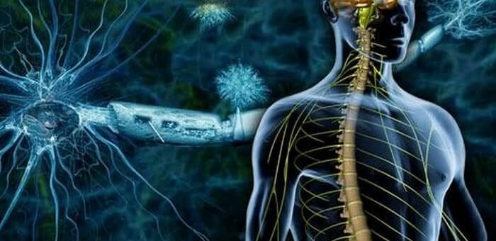 Энцефаломиелит - причины, симптомы и лечение